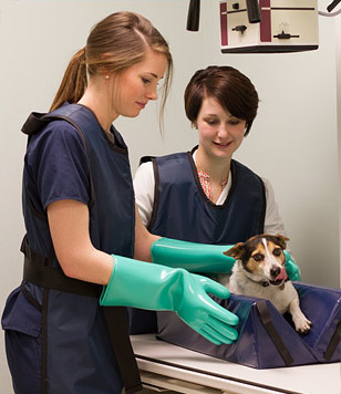 O'Fallon Emergency Veterinary Care